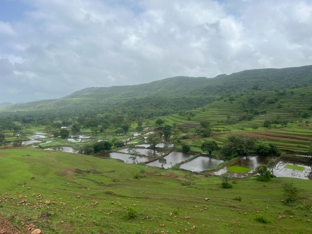 Exclusive Agriculture FarmHouse Plots In Kolavadi Pune